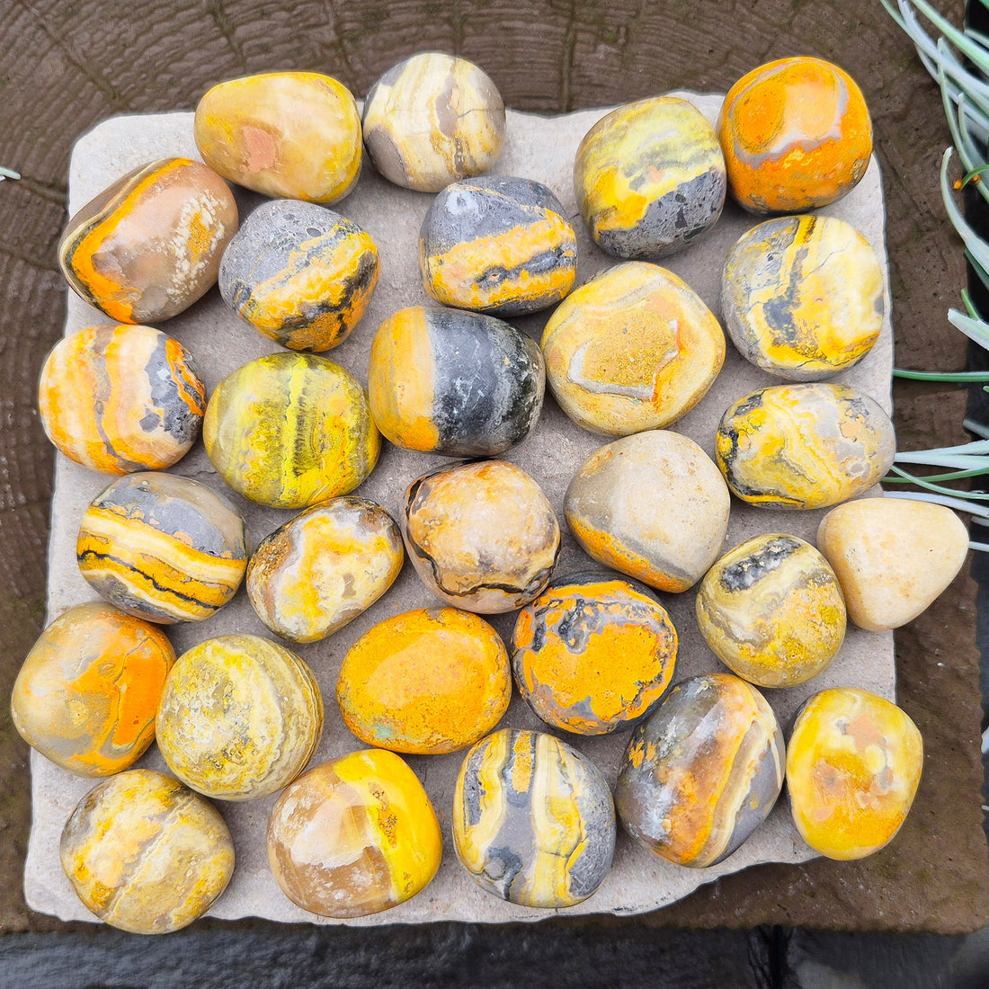 Bumblebee Jasper - A Burst of Energy! Yellow Calcite with Pyrite and Hematite Inclusions