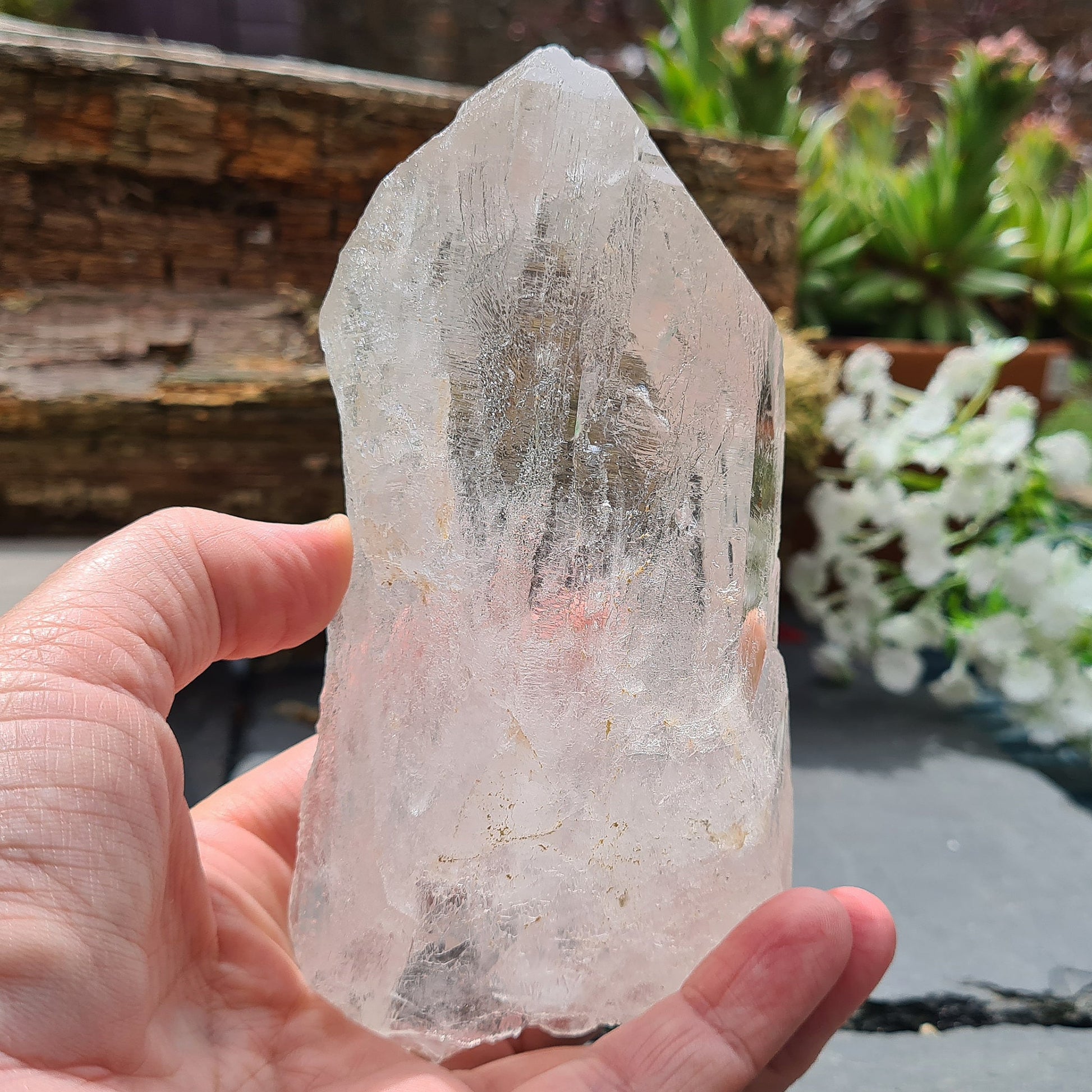 Discover the profound wisdom of Cathedral Quartz. Access Akashic Records, heighten psychic abilities, and Elevate your vibration and explore the angelic realms.