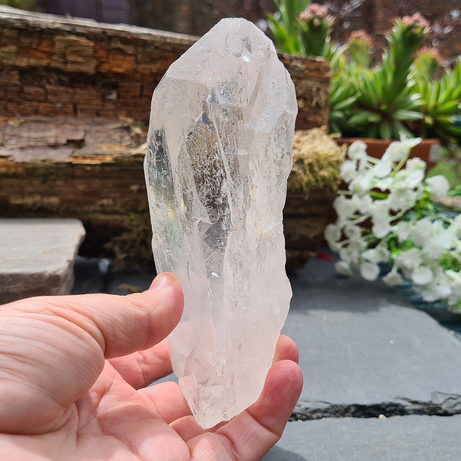 Discover the profound wisdom of Cathedral Quartz. Access Akashic Records, heighten psychic abilities, and Elevate your vibration and explore the angelic realms.
