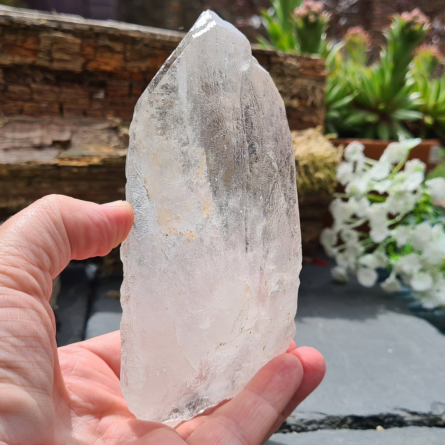 Discover the profound wisdom of Cathedral Quartz. Access Akashic Records, heighten psychic abilities, and Elevate your vibration and explore the angelic realms.