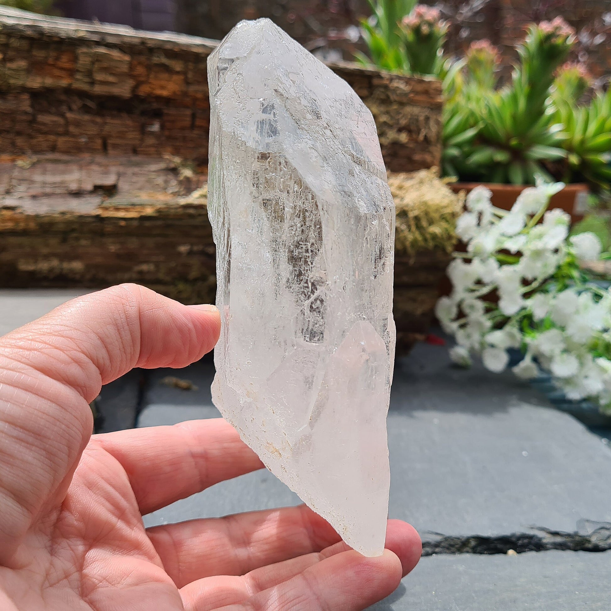 Discover the profound wisdom of Cathedral Quartz. Access Akashic Records, heighten psychic abilities, and Elevate your vibration and explore the angelic realms.