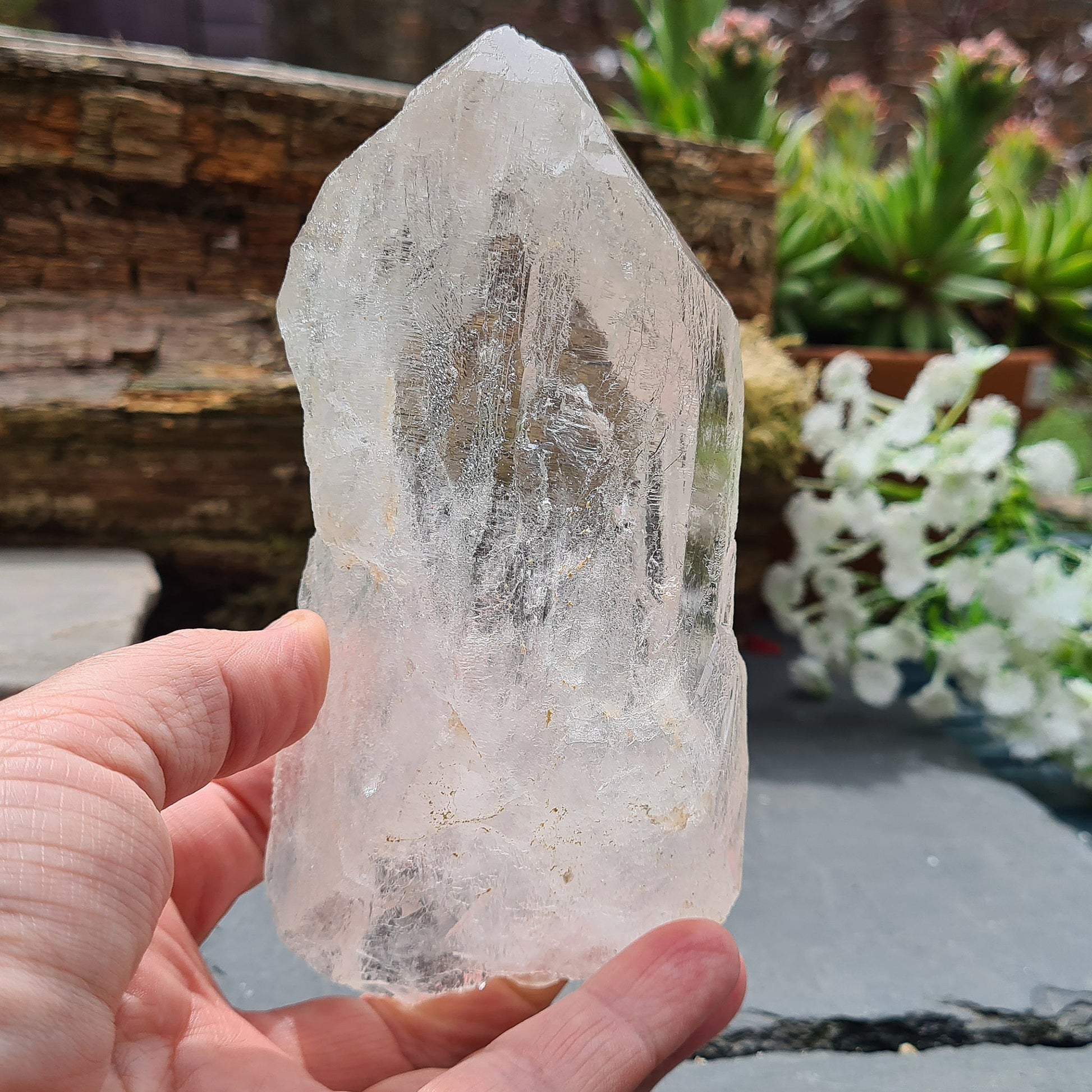 Discover the profound wisdom of Cathedral Quartz. Access Akashic Records, heighten psychic abilities, and Elevate your vibration and explore the angelic realms.