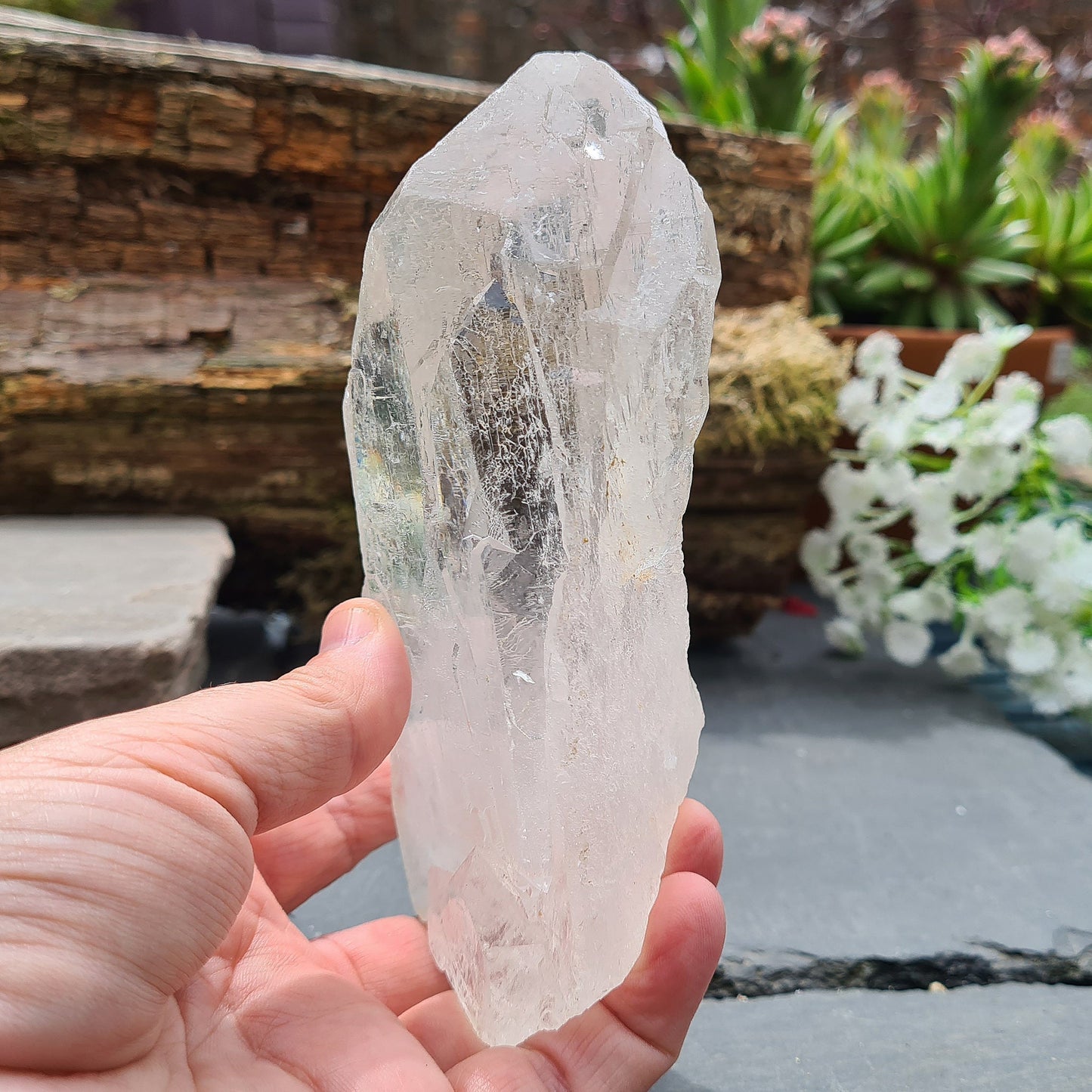Discover the profound wisdom of Cathedral Quartz. Access Akashic Records, heighten psychic abilities, and Elevate your vibration and explore the angelic realms.