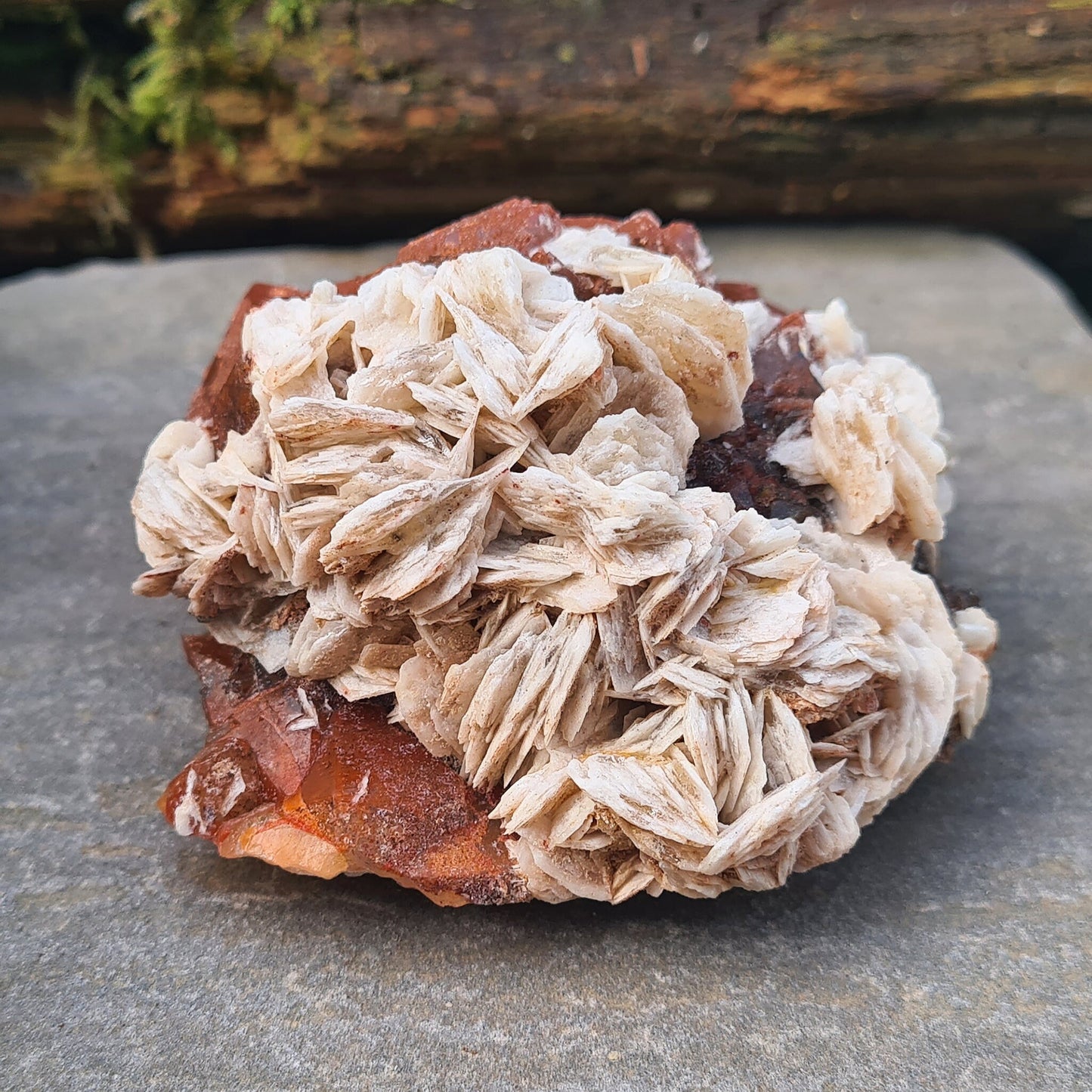 Discover the unique beauty of Red Quartz with Barite, a rare crystal known for its grounding and emotional healing properties. Collectors specimen.