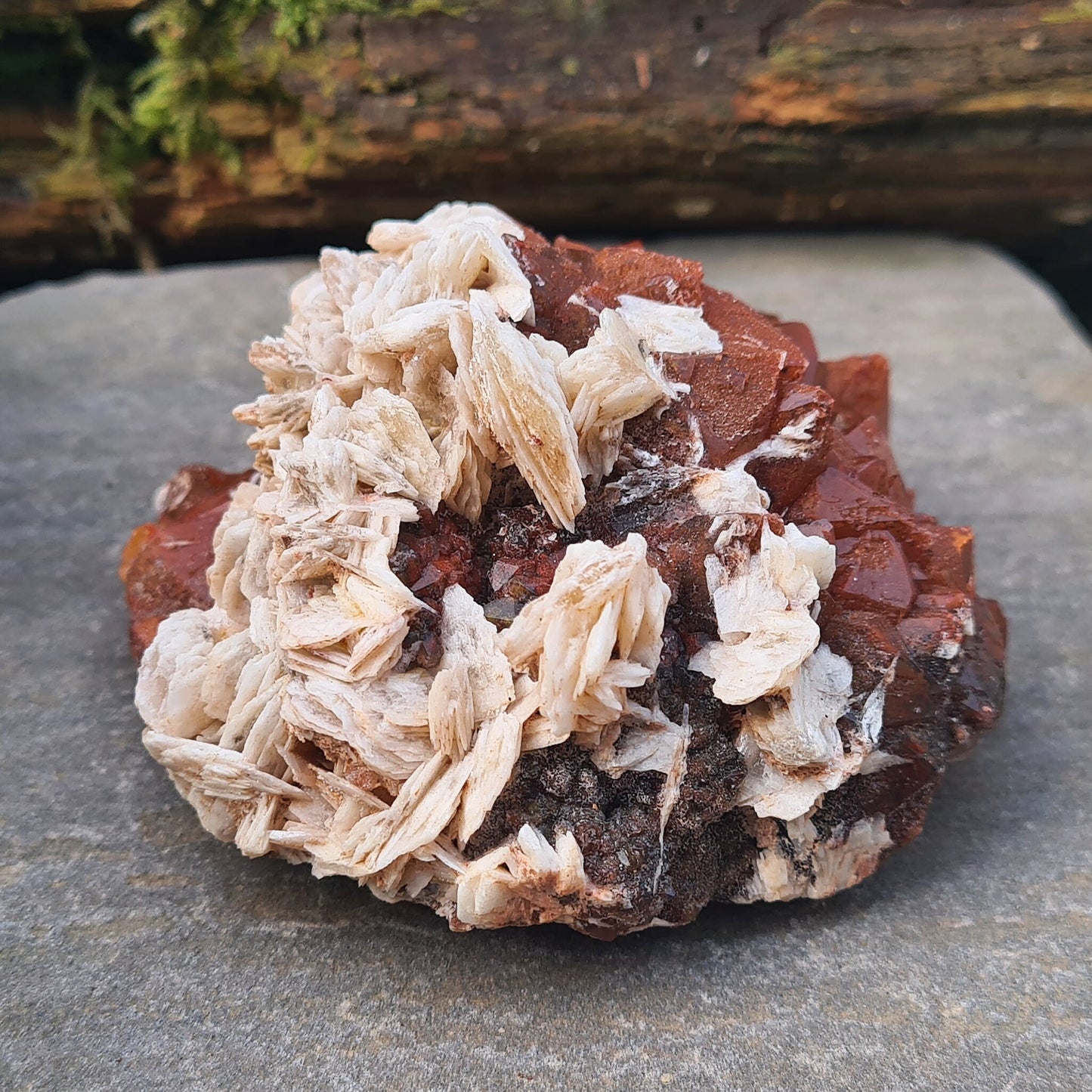 Discover the unique beauty of Red Quartz with Barite, a rare crystal known for its grounding and emotional healing properties. Collectors specimen.