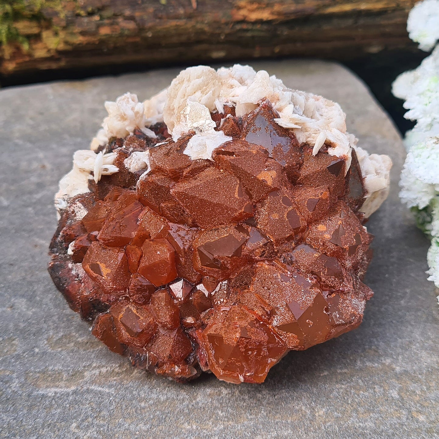 Discover the unique beauty of Red Quartz with Barite, a rare crystal known for its grounding and emotional healing properties. Collectors specimen.