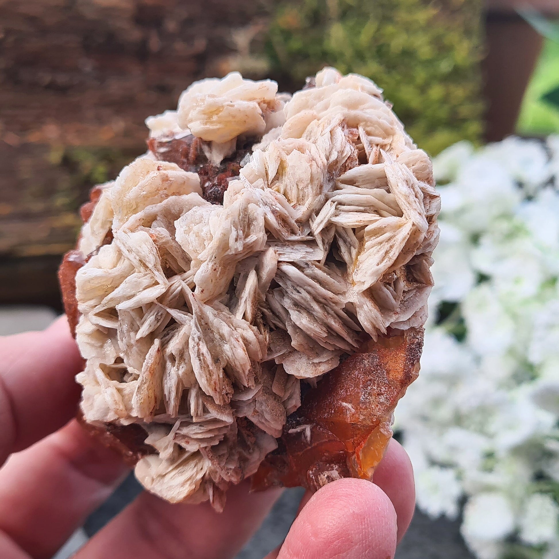 Discover the unique beauty of Red Quartz with Barite, a rare crystal known for its grounding and emotional healing properties. Collectors specimen.