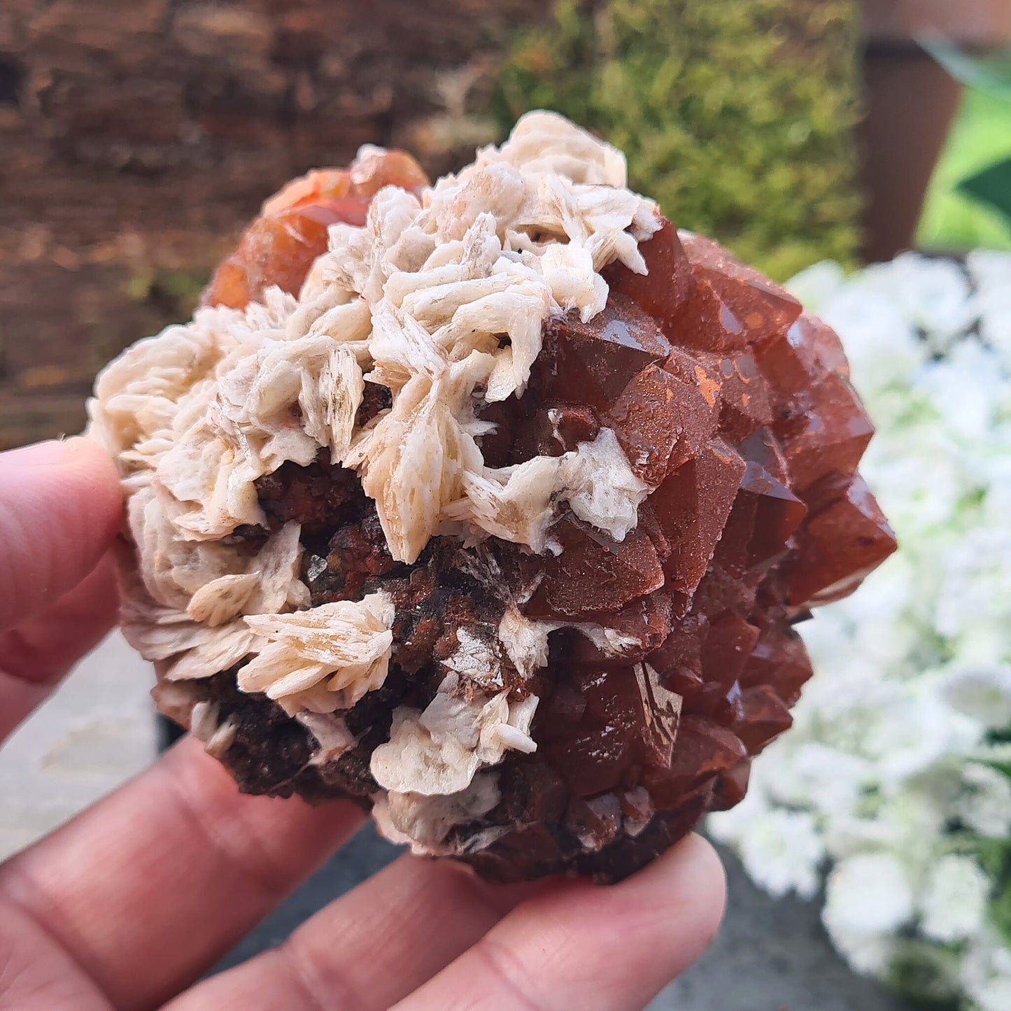 Red Quartz with Barite Crystal Cluster, Rare