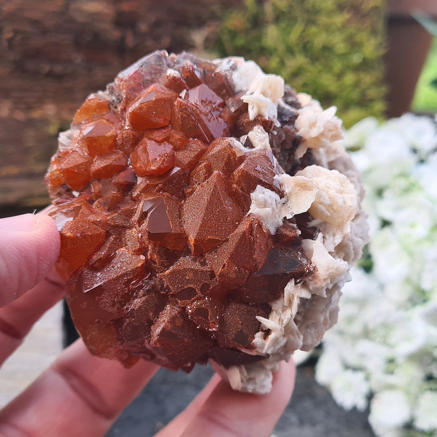 Red Quartz with Barite Crystal Cluster, Rare