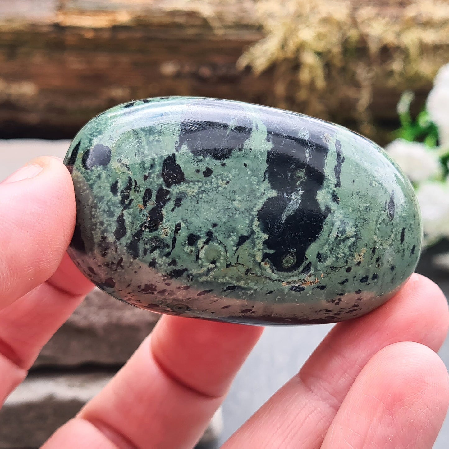 Kambaba Jasper palm stone: Reduce anxiety, heal emotionally, and protect your energy. Perfect for meditation and personal growth.