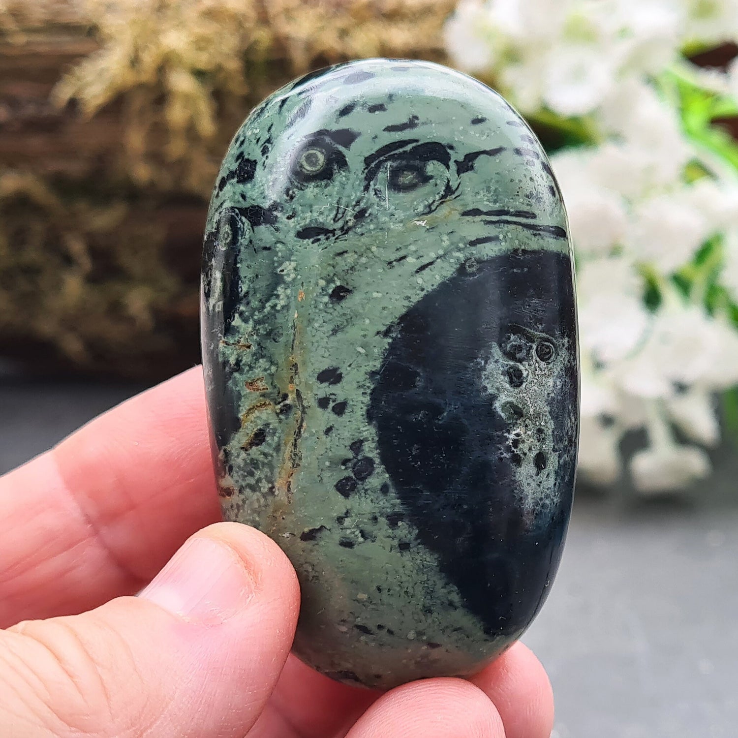 Kambaba Jasper palm stone: Reduce anxiety, heal emotionally, and protect your energy. Perfect for meditation and personal growth.