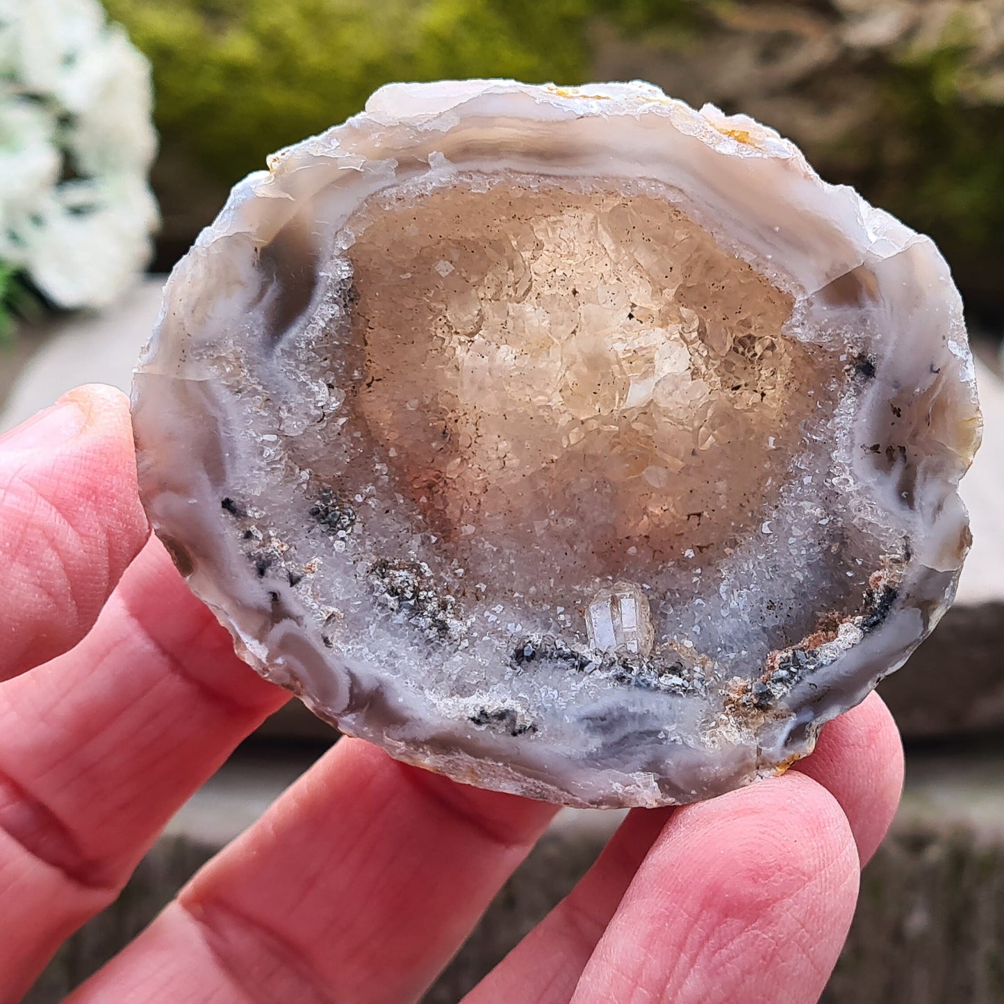 Oco or Ocho Geodes are Small Agate Crystal Geodes with a drusy quartz lining that are found in the Tres Pinheiros region of Brazil.