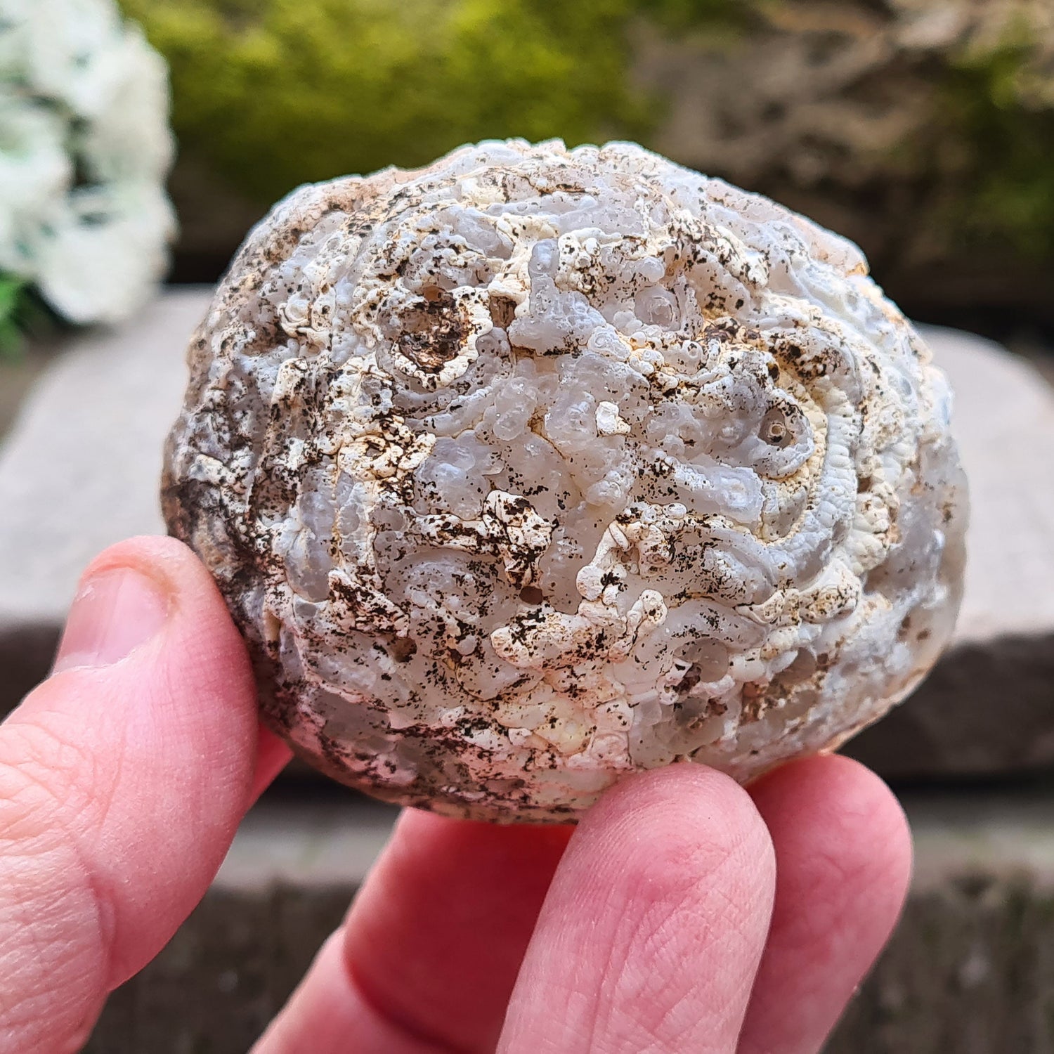 Oco or Ocho Geodes are Small Agate Crystal Geodes with a drusy quartz lining that are found in the Tres Pinheiros region of Brazil.