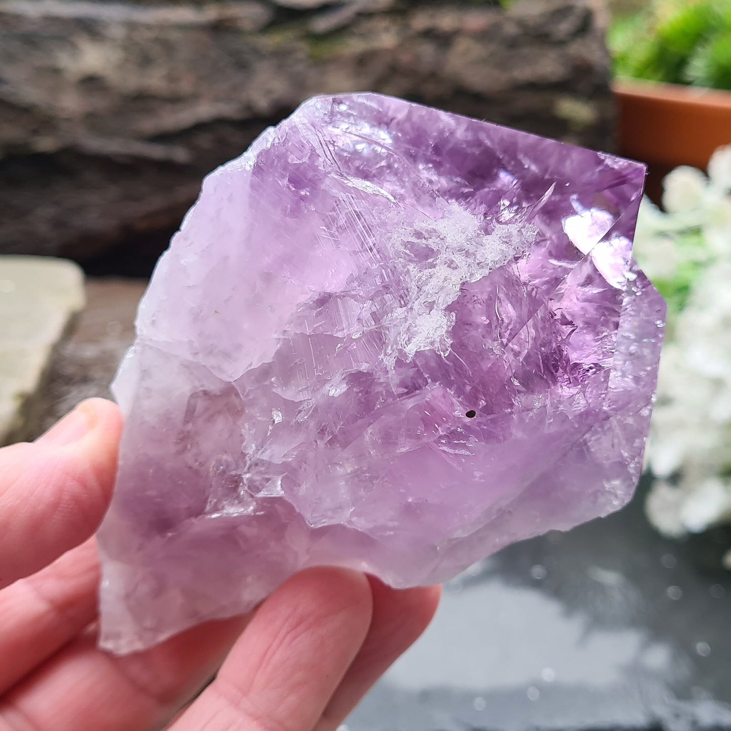 Brazilian Amethyst Crystal Point with dark purple color, polished tip, and natural body, also known as Amethyst Root.