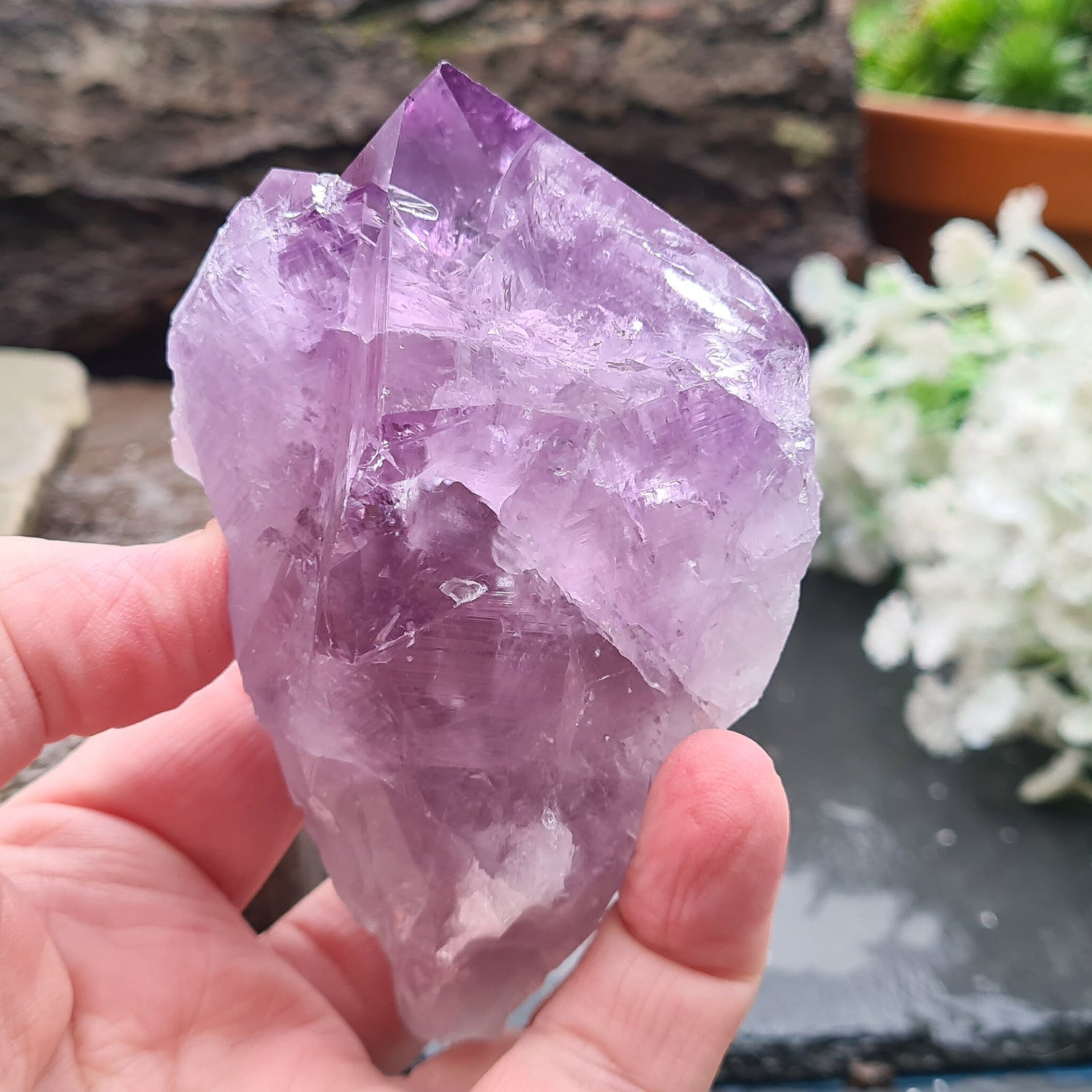 Brazilian Amethyst Crystal Point with dark purple color, polished tip, and natural body, also known as Amethyst Root.