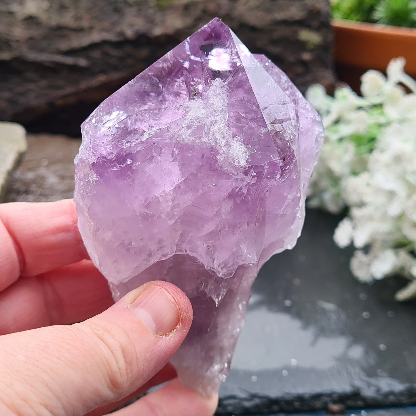 Brazilian Amethyst Crystal Point with dark purple color, polished tip, and natural body, also known as Amethyst Root.