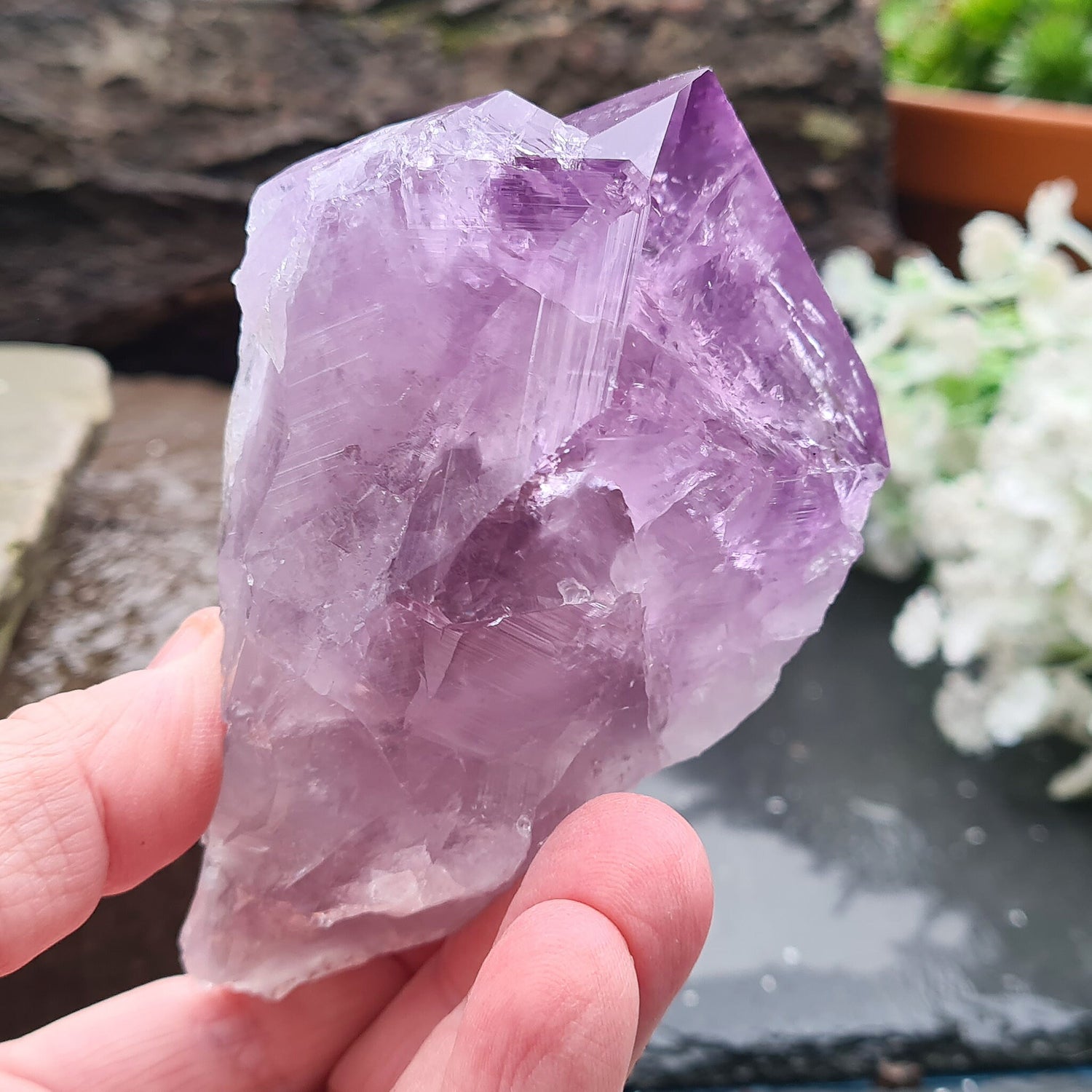 Brazilian Amethyst Crystal Point with dark purple color, polished tip, and natural body, also known as Amethyst Root.