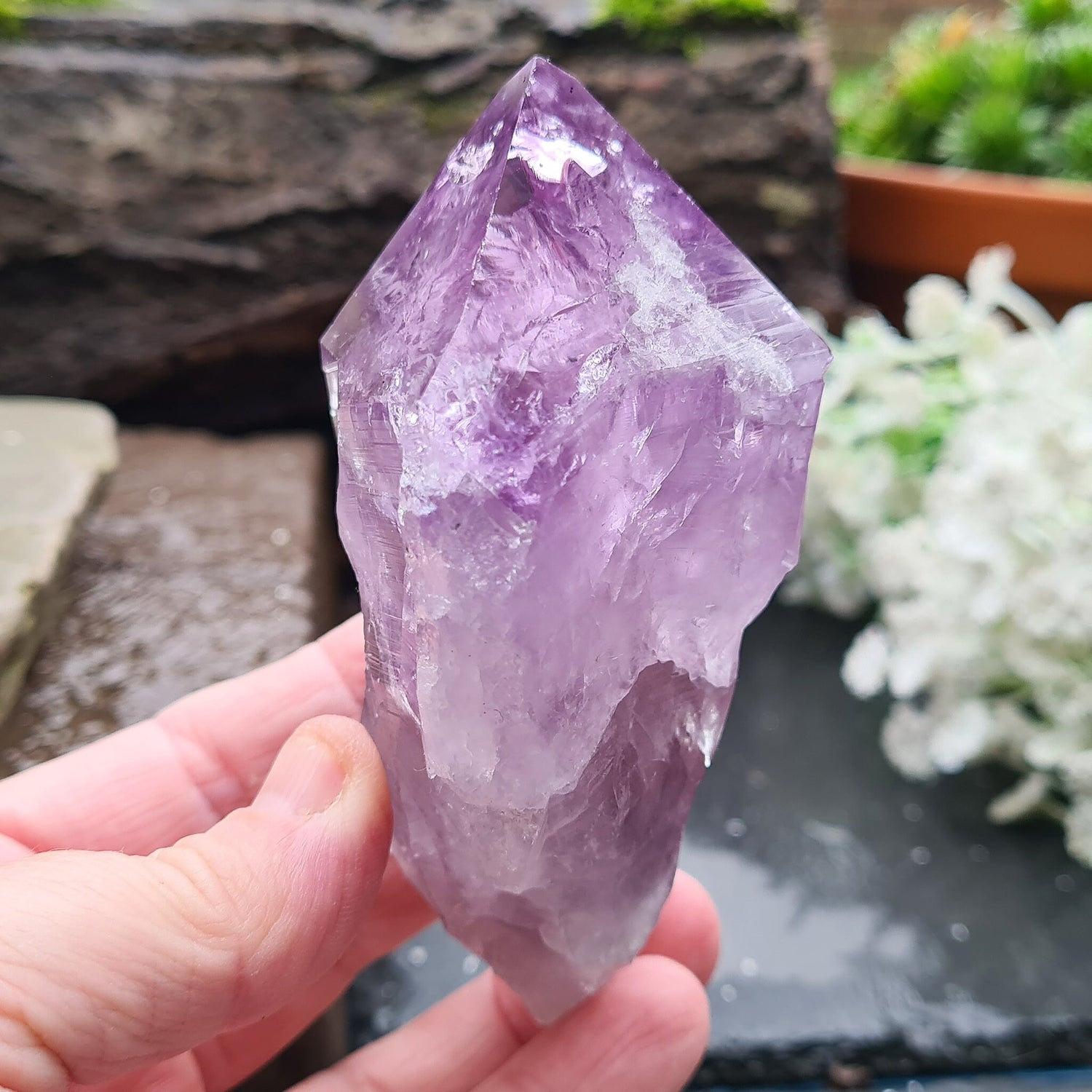 Brazilian Amethyst Crystal Point with dark purple color, polished tip, and natural body, also known as Amethyst Root.