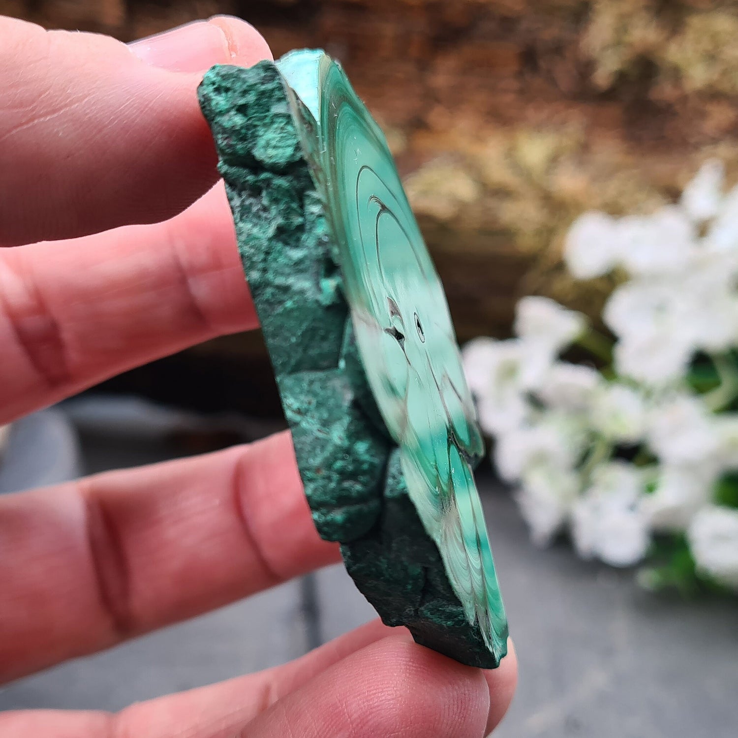 Malachite Crystal from the Congo. Polished slice of Malachite which has wonderful green markings. The edges remain natural.