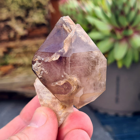 Smoky Amethyst Sceptre. This sceptre has a top growth of Smoky Amethyst that has naturally formed around a central Quartz "rod.