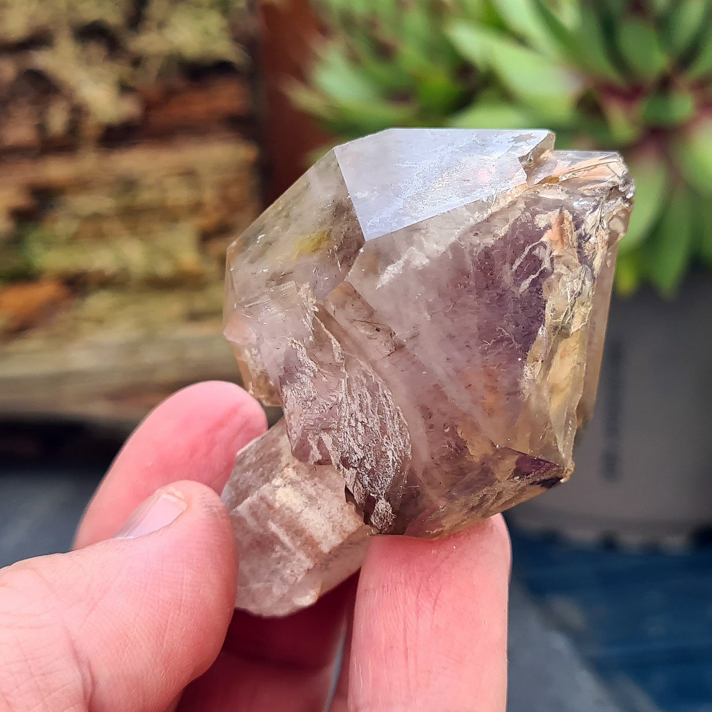 Smoky Amethyst Sceptre. This sceptre has a top growth of Smoky Amethyst that has naturally formed around a central Quartz "rod.