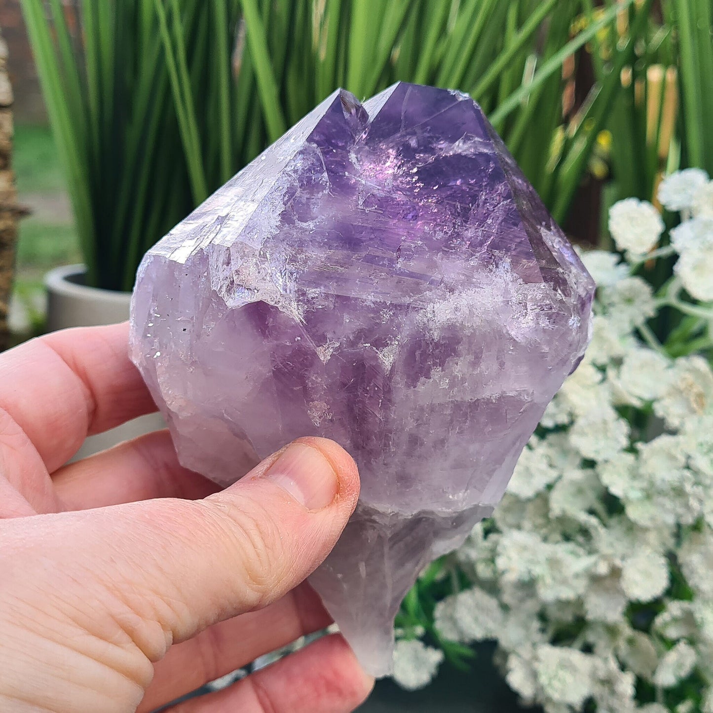 Large Brazilian Amethyst Point with dark purple hues, polished double-tipped point, and natural body, also known as Amethyst Teeth.