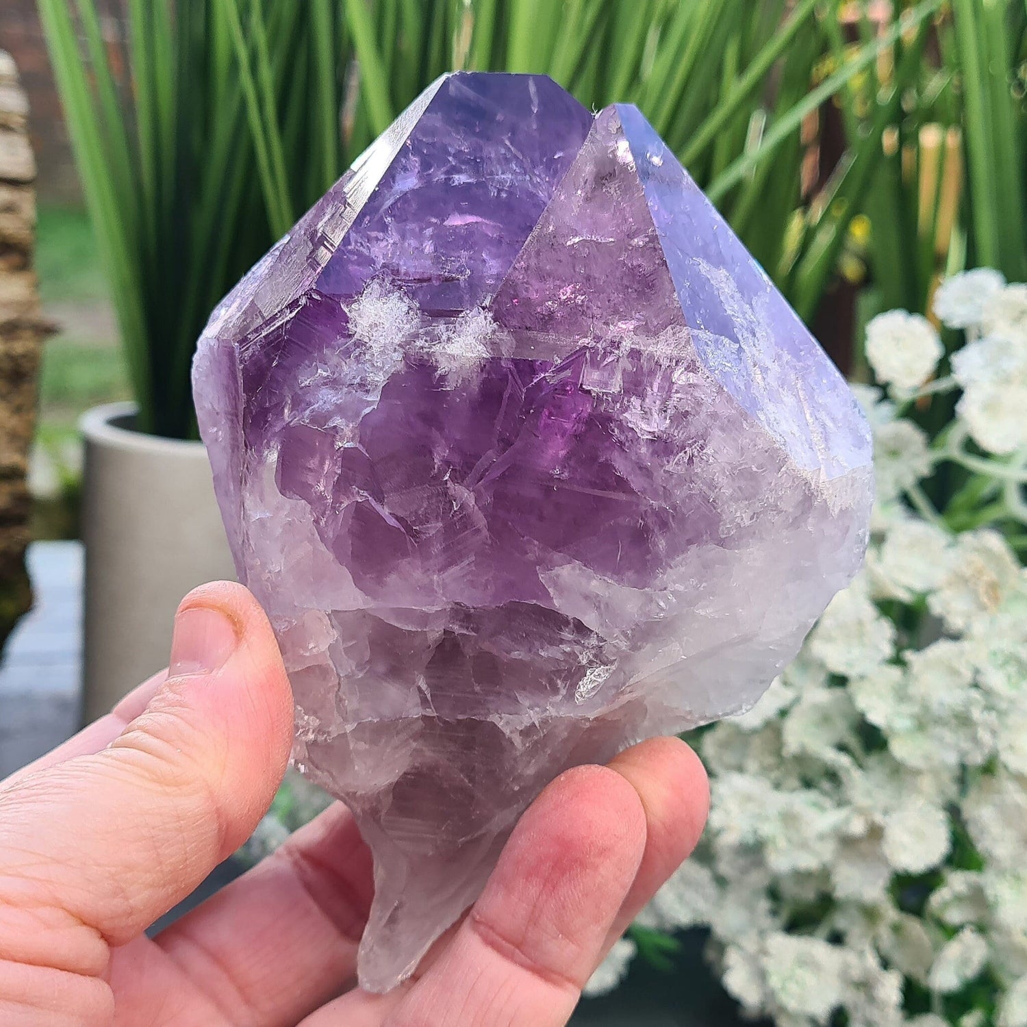 Large Brazilian Amethyst Point with dark purple hues, polished double-tipped point, and natural body, also known as Amethyst Teeth.