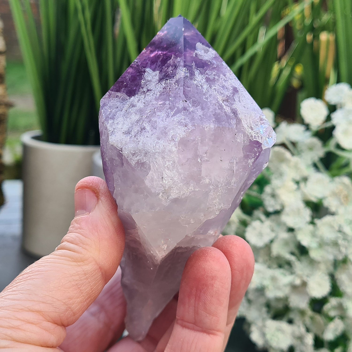 Large Brazilian Amethyst Point with dark purple hues, polished double-tipped point, and natural body, also known as Amethyst Teeth.