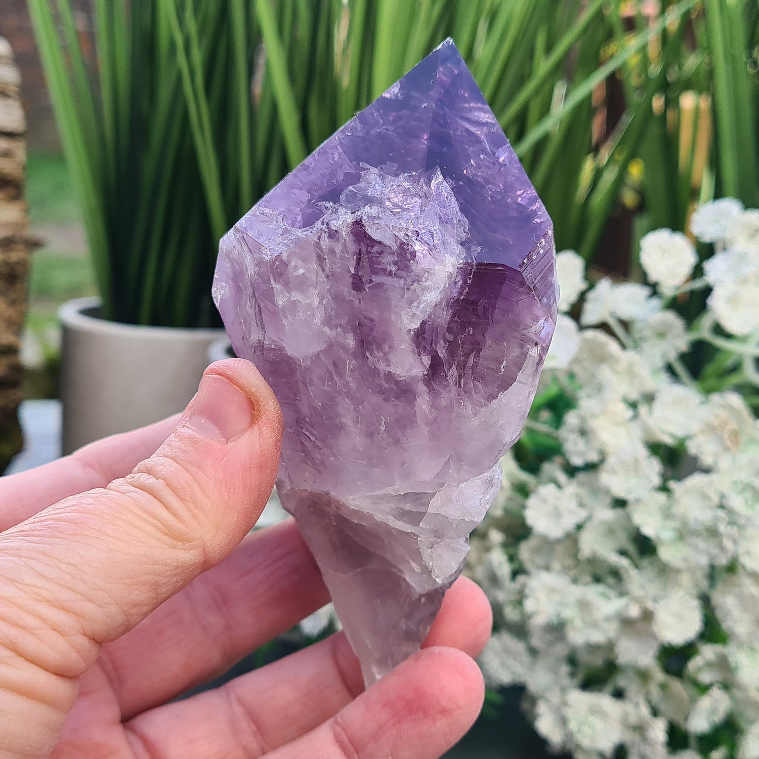 Large Brazilian Amethyst Point with dark purple hues, polished double-tipped point, and natural body, also known as Amethyst Teeth.