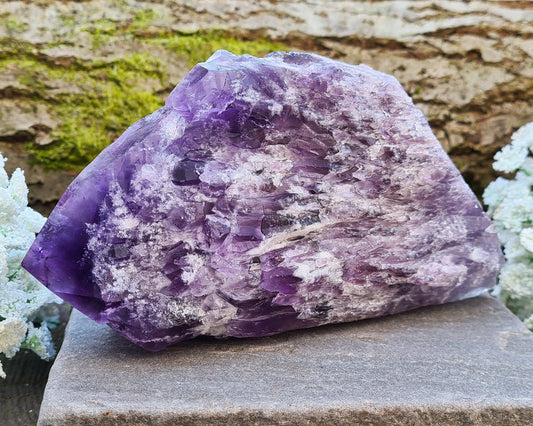 This striking Elestial Amethyst, also known as Bahia Amethyst or Amethyst Root features layered formations with multiple points and a large central termination. The shape is reminiscent of a fish — often associated with intuition and emotional depth. A beautiful rainbow in the “tail” adds a touch of light and joy to its already captivating presence.