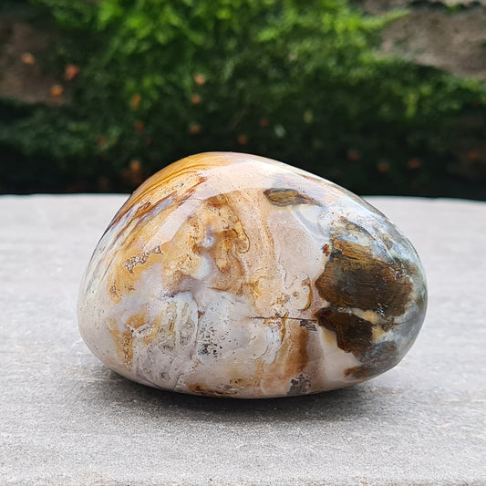 Petrified Wood Pebble. Fabulous earthy colouring and patterning. Petrified wood is created when a living tree falls into water and mineral elements are absorbed into the wood. Each mineral element produces a specific colour.