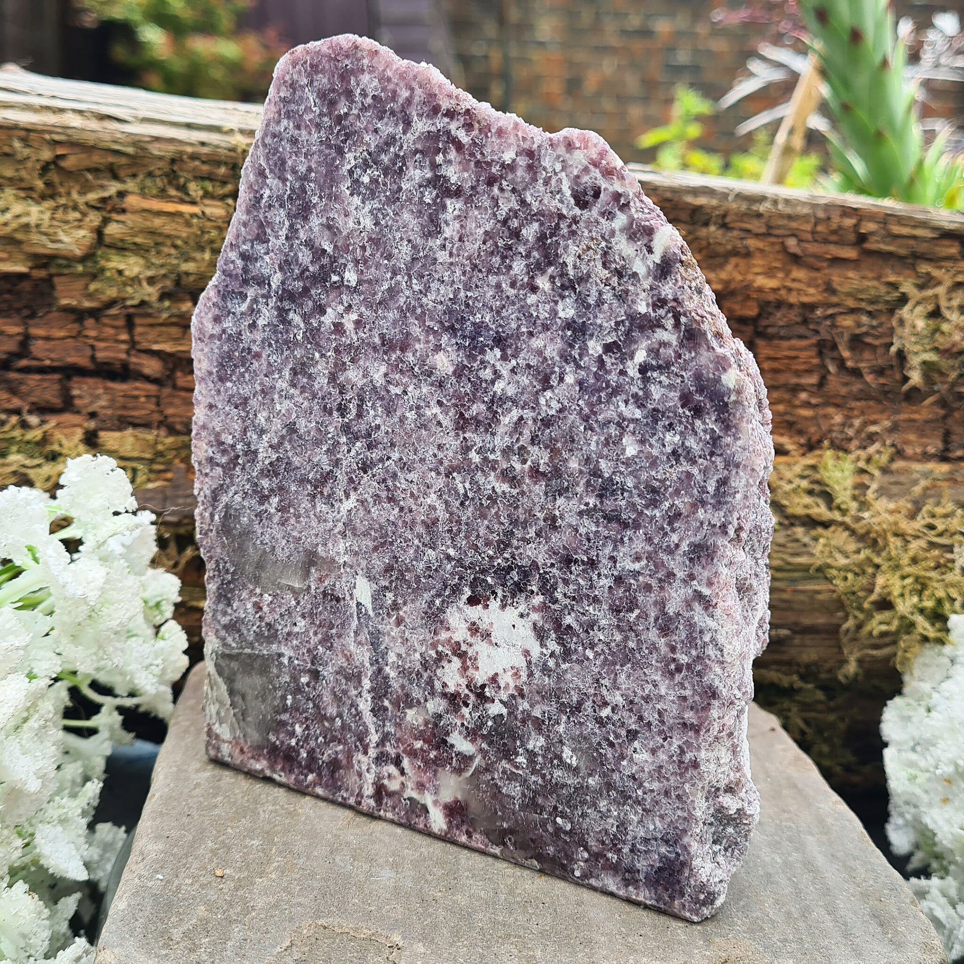Lepidolite Crystal, Self Standing Home Decor Display Crystal. Front facing side is polished, the back is left natural.