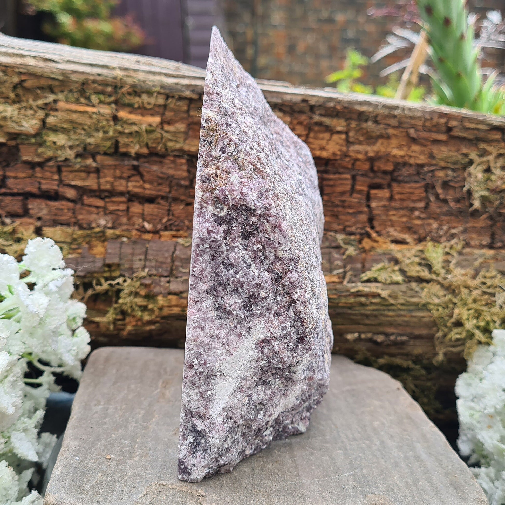 Lepidolite Crystal, Self Standing Home Decor Display Crystal. Front facing side is polished, the back is left natural.