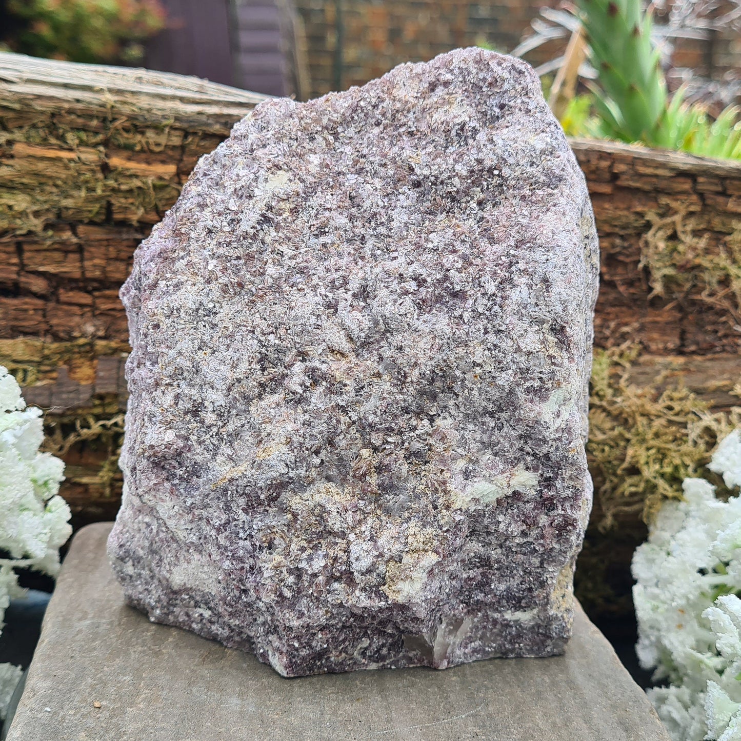 Lepidolite Crystal, Self Standing Home Decor Display Crystal. Front facing side is polished, the back is left natural.