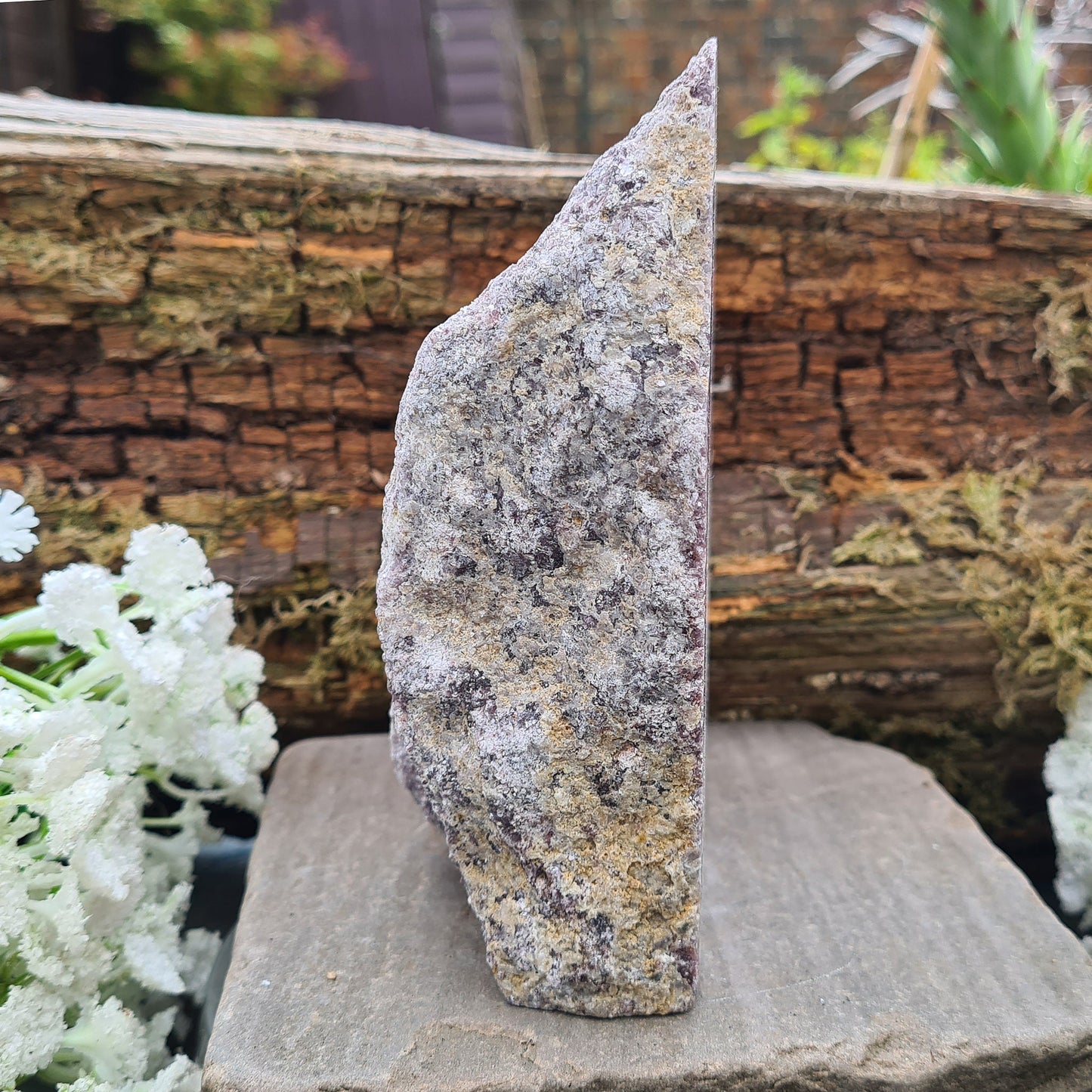 Lepidolite Crystal, Self Standing Home Decor Display Crystal. Front facing side is polished, the back is left natural.