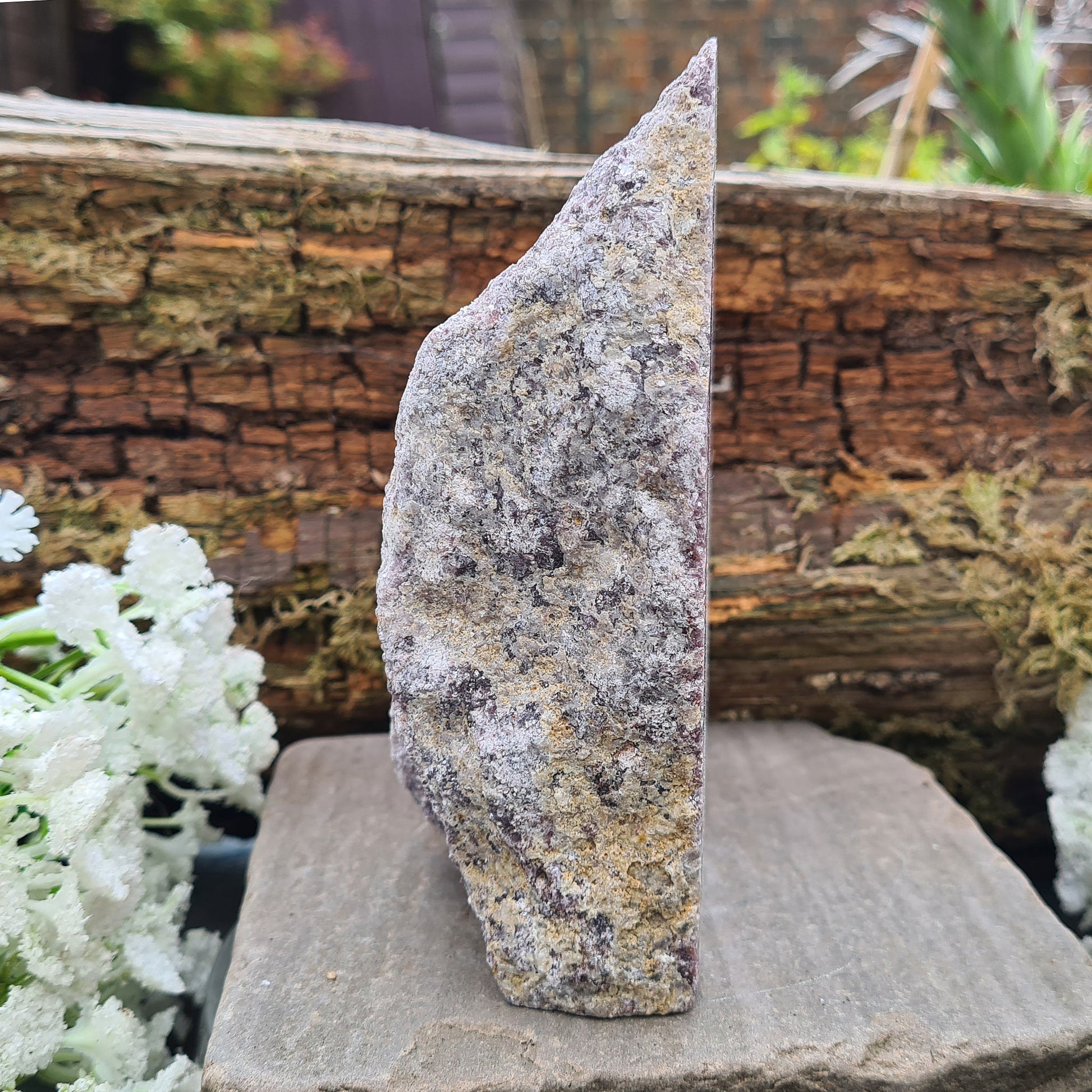 Lepidolite Crystal, Self Standing Home Decor Display Crystal. Front facing side is polished, the back is left natural.