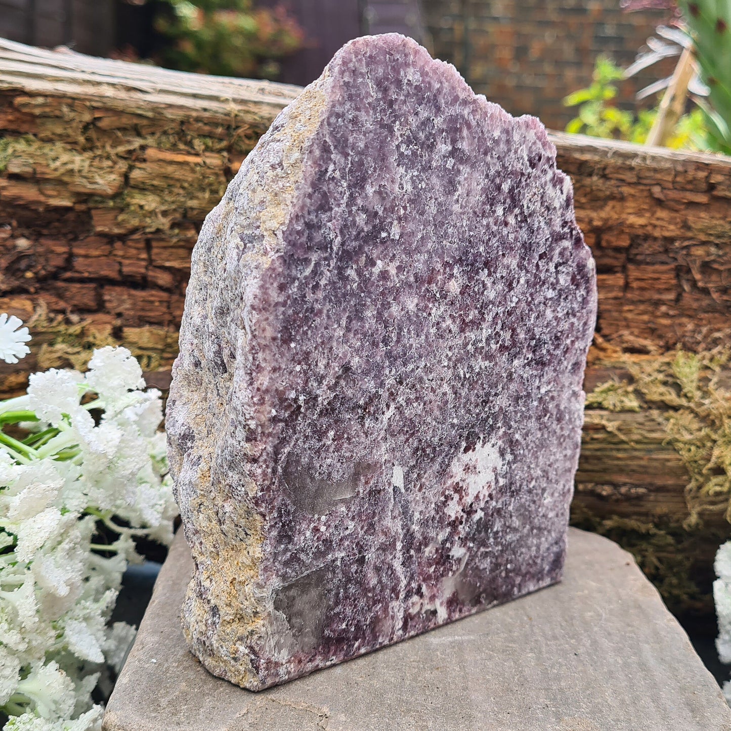 Lepidolite Crystal, Self Standing Home Decor Display Crystal. Front facing side is polished, the back is left natural.