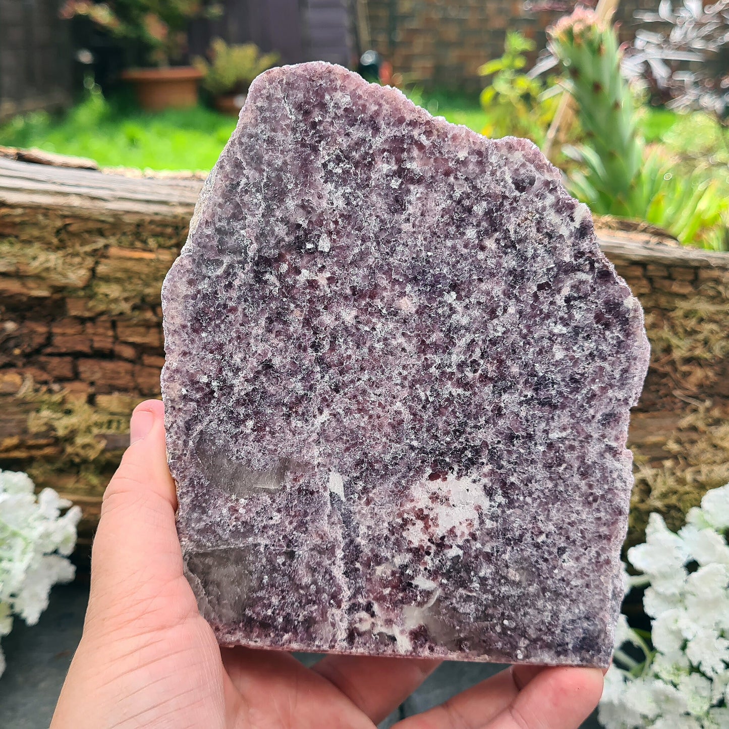 Lepidolite Crystal, Self Standing Home Decor Display Crystal. Front facing side is polished, the back is left natural.