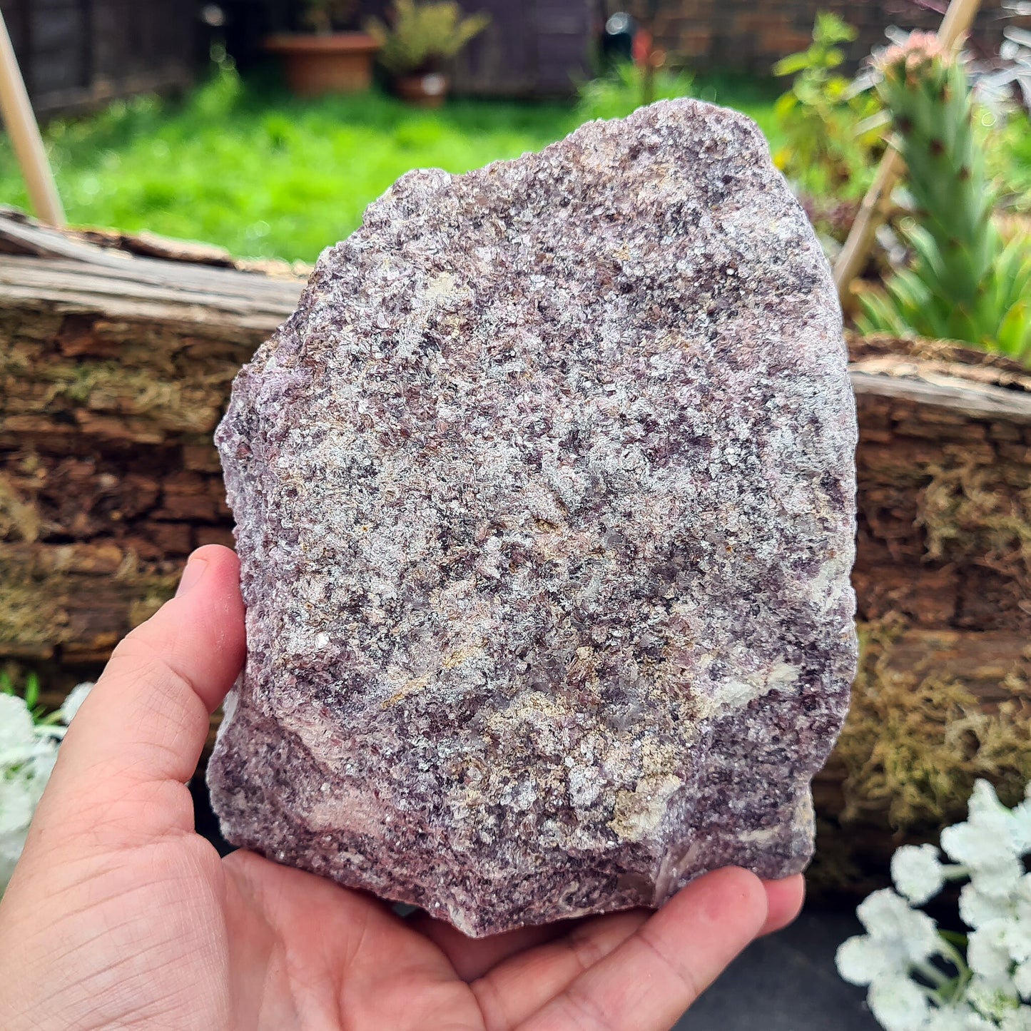 Lepidolite Crystal, Self Standing Home Decor Display Crystal. Front facing side is polished, the back is left natural.