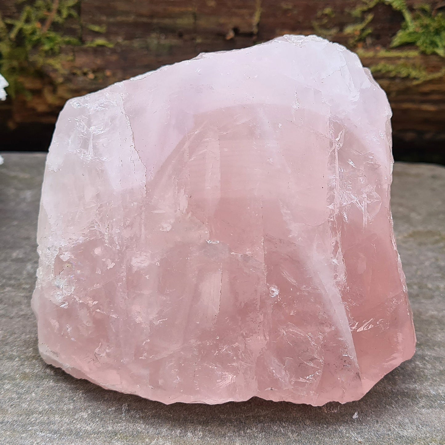 Rose Quartz Crystal from Madagascar. One side is polished and has a slight curve to it and the other sides are all natural. This is a really lovely shiny crystal with rainbows. Madagascar produces some of the best Rose Quartz in the world.