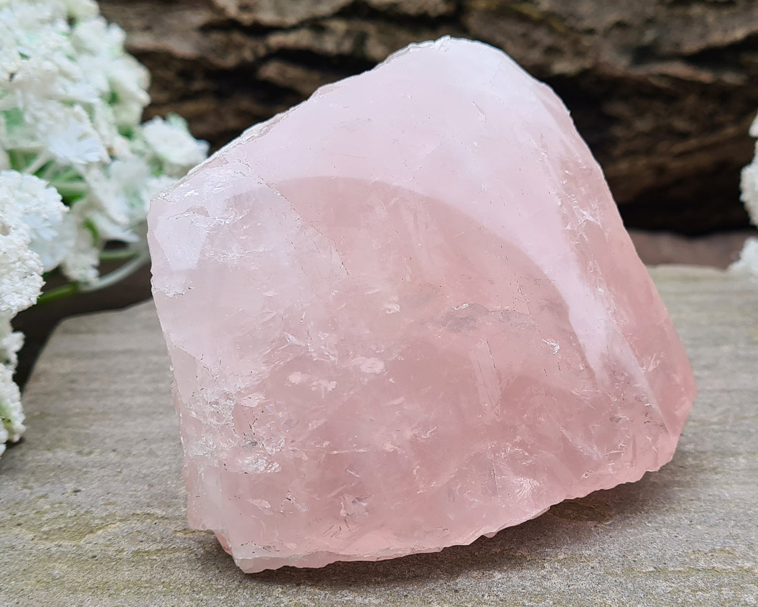 Rose Quartz Crystal from Madagascar. One side is polished and has a slight curve to it and the other sides are all natural. This is a really lovely shiny crystal with rainbows. Madagascar produces some of the best Rose Quartz in the world.