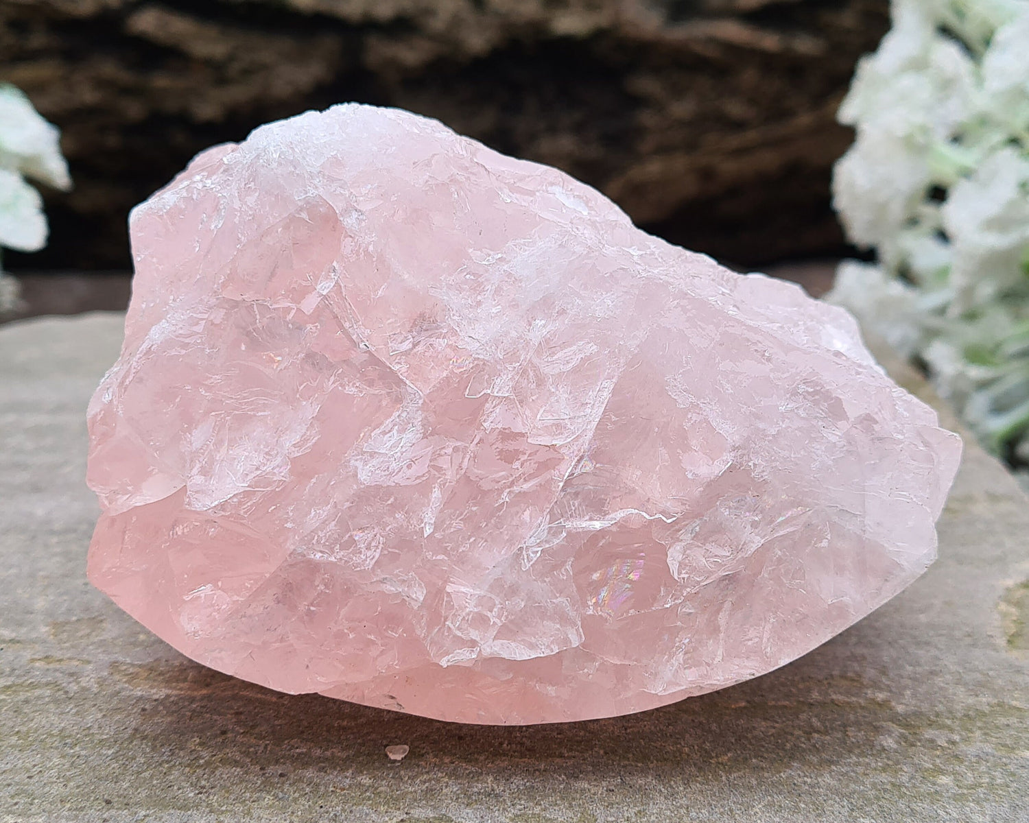 Rose Quartz Crystal from Madagascar. One side is polished and has a slight curve to it and the other sides are all natural. This is a really lovely shiny crystal with rainbows. Madagascar produces some of the best Rose Quartz in the world.