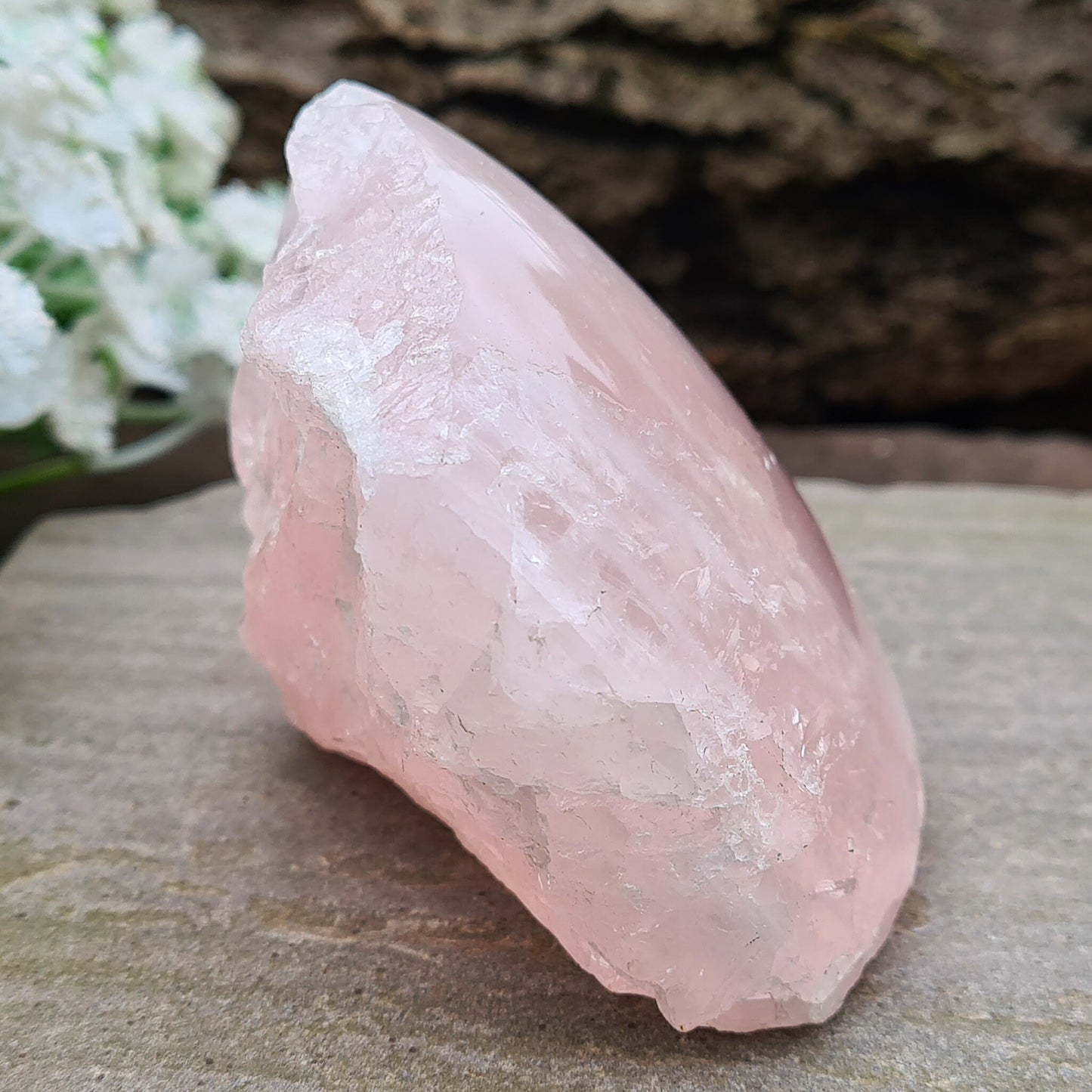 Rose Quartz Crystal from Madagascar. One side is polished and has a slight curve to it and the other sides are all natural. This is a really lovely shiny crystal with rainbows. Madagascar produces some of the best Rose Quartz in the world.