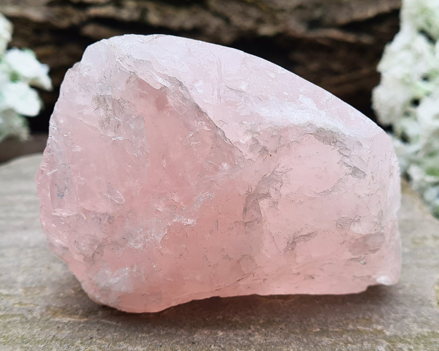 Rose Quartz Crystal from Madagascar. One side is polished and has a slight curve to it and the other sides are all natural. This is a really lovely shiny crystal with rainbows. Madagascar produces some of the best Rose Quartz in the world.