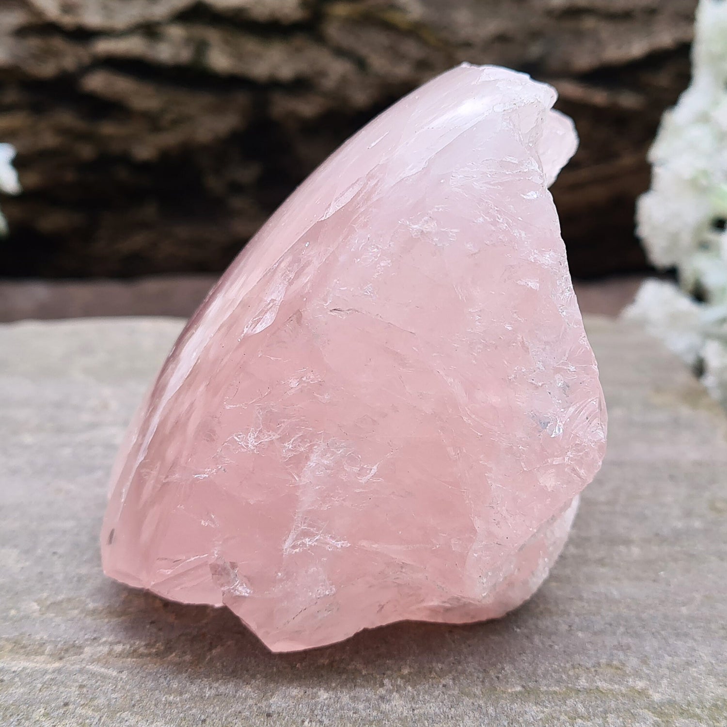 Rose Quartz Crystal from Madagascar. One side is polished and has a slight curve to it and the other sides are all natural.