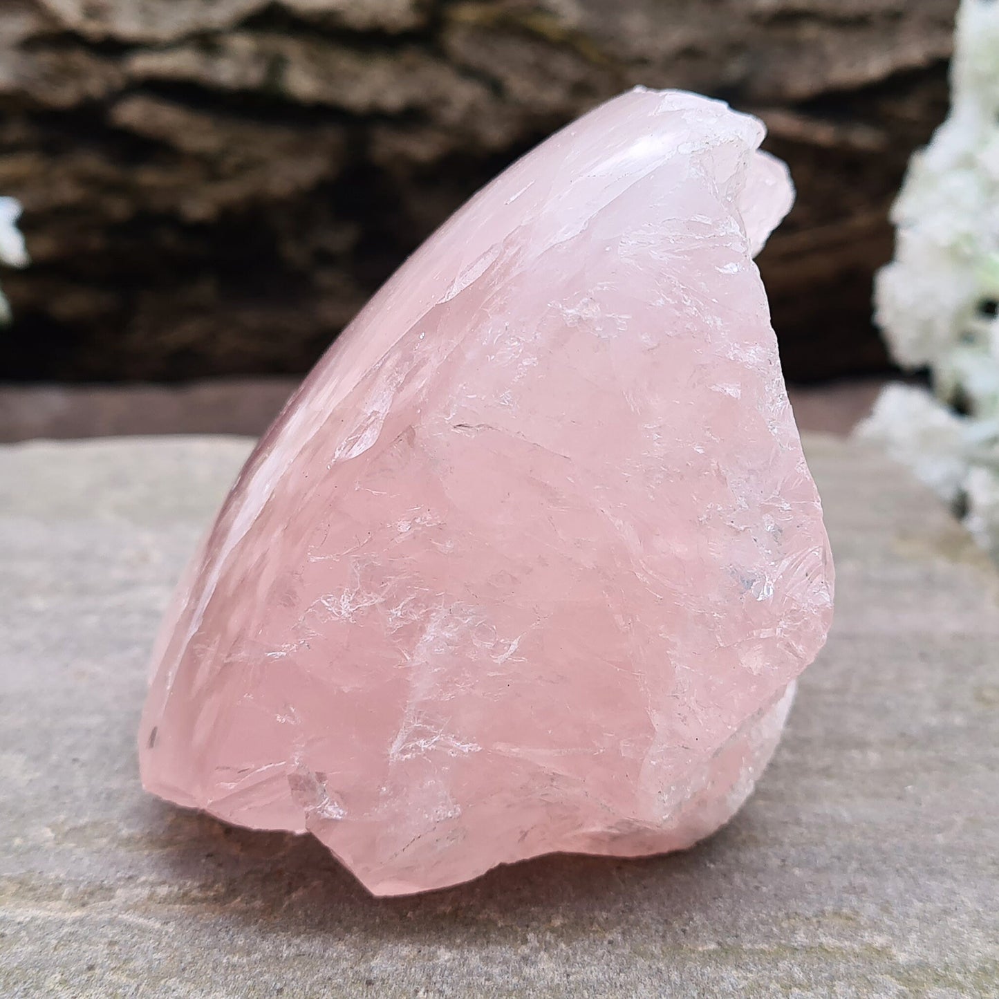 Rose Quartz Crystal from Madagascar. One side is polished and has a slight curve to it and the other sides are all natural. This is a really lovely shiny crystal with rainbows. Madagascar produces some of the best Rose Quartz in the world.