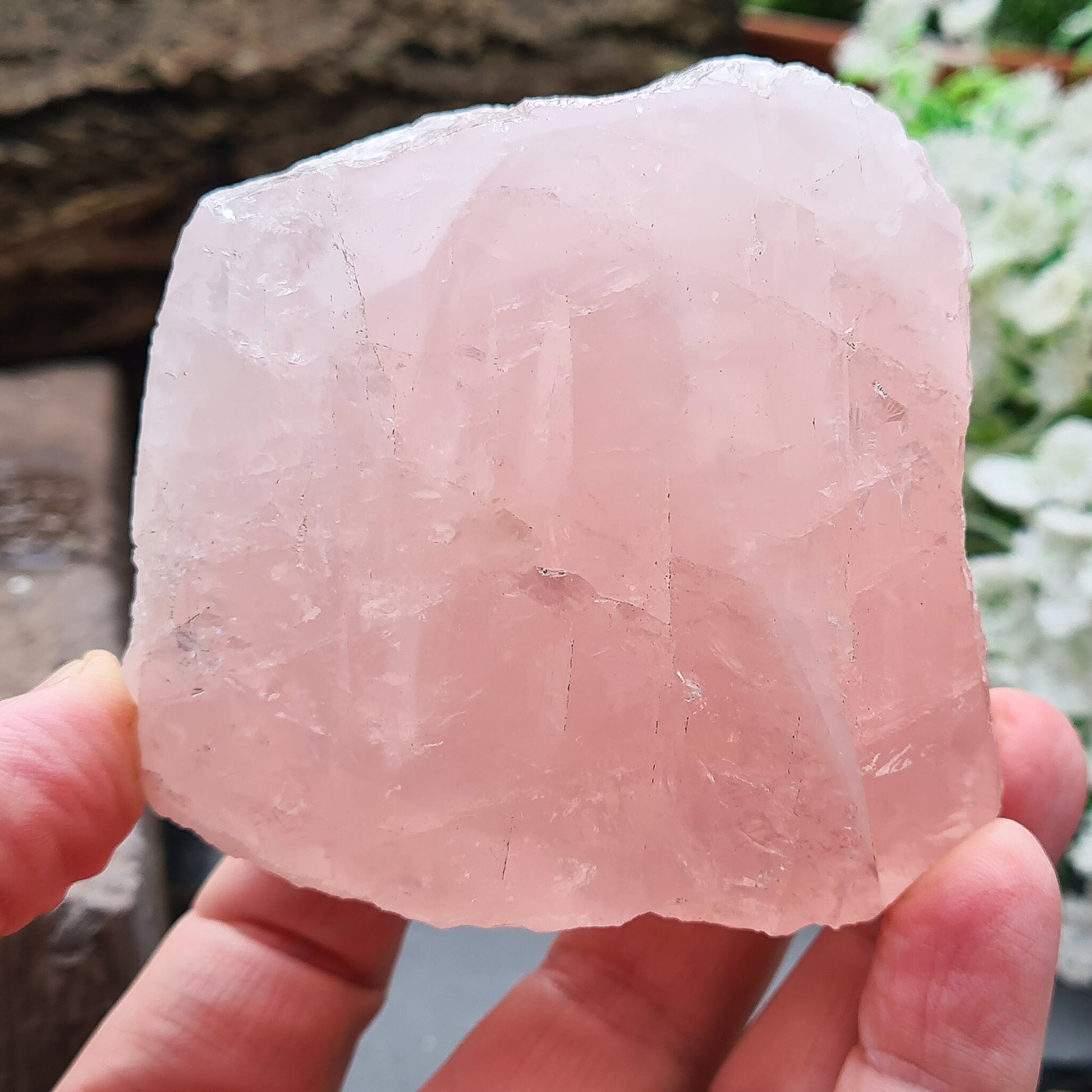 Rose Quartz is admired for its calming pink hue and association with love, balance, and harmony. Add a touch of loving energy to your home.