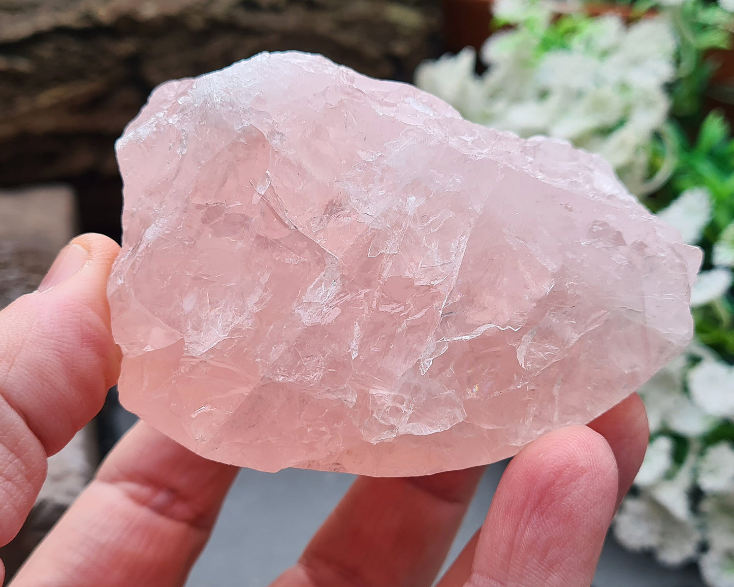 Rose Quartz Crystal from Madagascar. One side is polished and has a slight curve to it and the other sides are all natural. This is a really lovely shiny crystal with rainbows. Madagascar produces some of the best Rose Quartz in the world.