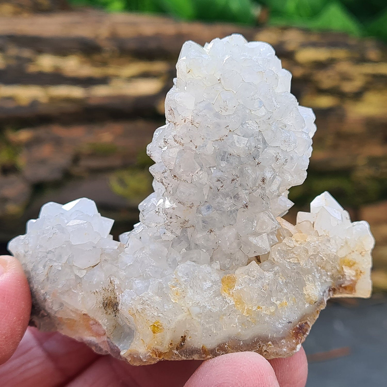 Stalactite Quartz from Madhya Pradesh, India. 