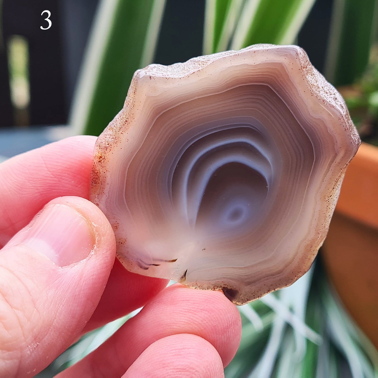 Botswana Agate Crystal Slice